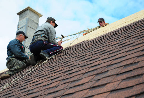 Best Residential Roofing Contractor  in San Felipe, TX
